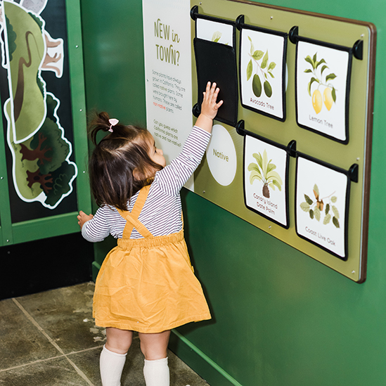 child flipping graphics